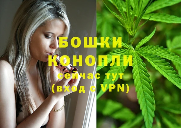 кокаин Белокуриха