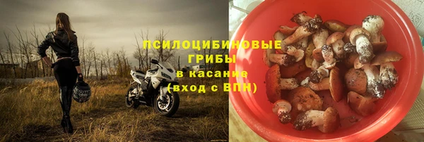 кокаин Белокуриха