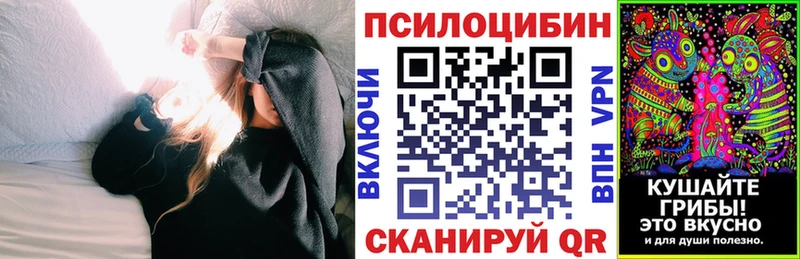 закладка  Невель  Псилоцибиновые грибы Psilocybine cubensis 